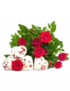 Šumivé srdce Ruža