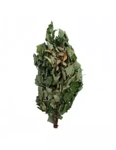 Miotła do sauny Linden 2