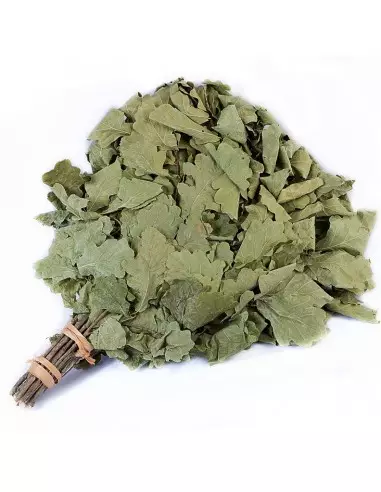 Saunová metla Dubová