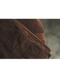 Bavlnený uterák 50*100 cm Hnedý