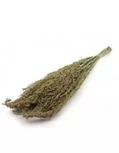 Miotła do sauny Palina 2