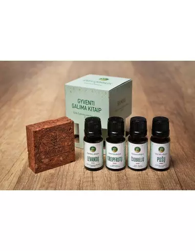 Set esenciálnych olejov s hlineným difúzerom „Štyri elementy“