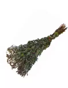 Miotła do sauny Mięta 2