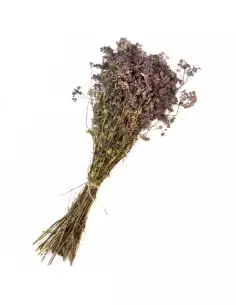 Gałązka oregano do sauny