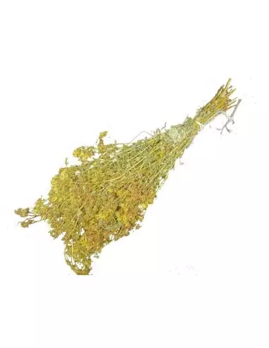 Gałązka do sauny "dziurawiec zwyczajny",...