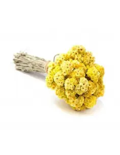 Gałąź do sauny Słoma