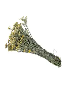 Gałązka do sauny TANSY