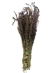 Gałązka szałwii do sauny