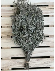 Miotła do sauny Mięta