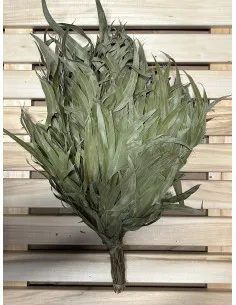 Saunová metla Eukalyptová