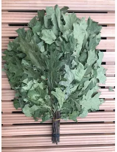 Miotła do sauny Dąb czerwony