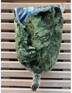 Miotła do sauny Dąb czerwony 2